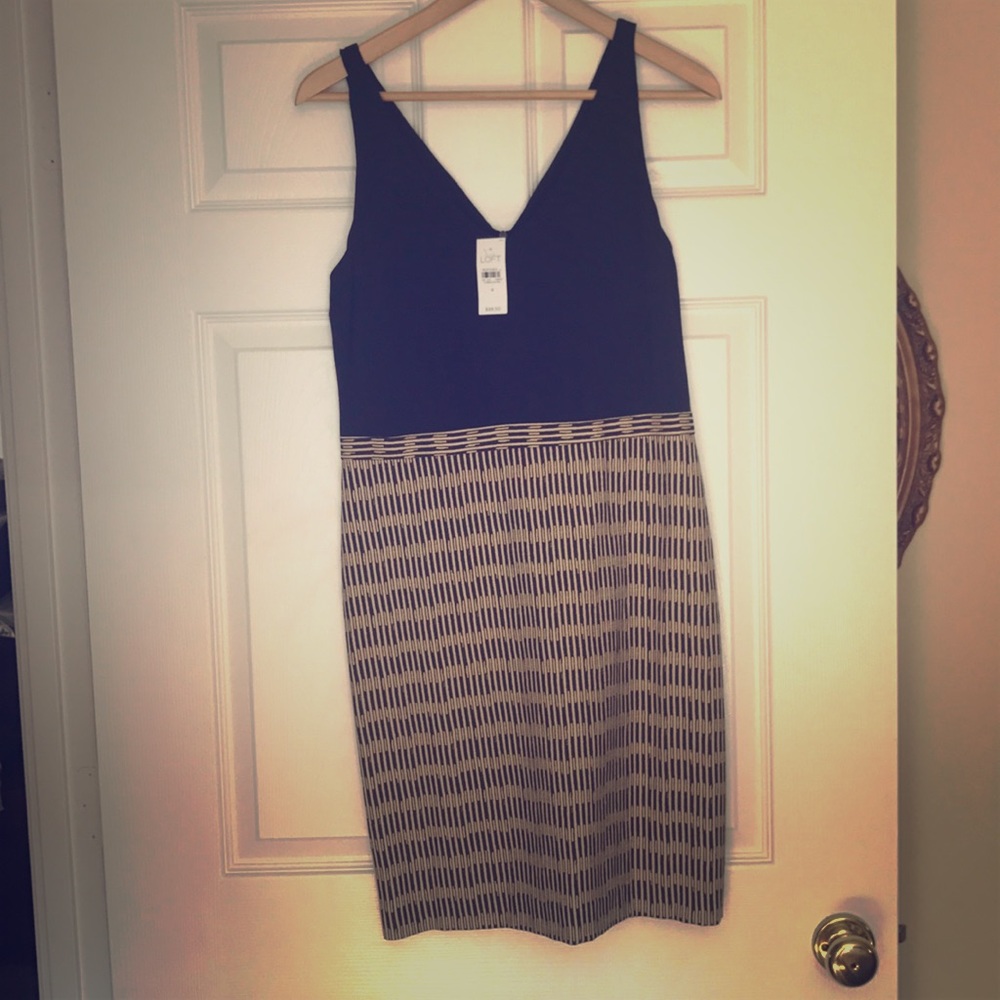 Ann Taylor form fitting dress.